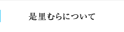 是里むらについて