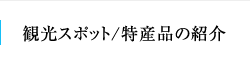 観光スポット／特産品の紹介