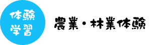 体験学習 農業・林業体験